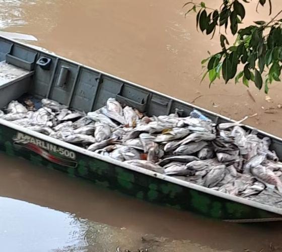 Peixes morreram após acúmulo de resíduos em rio de MT 